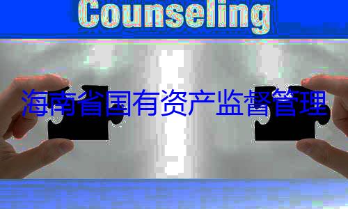 委副书记王资产监督管查调查海南省国有有福接受审理委员会党